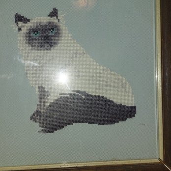 Monkey Grind Espresso - Bathroom art - Coffee & Tea Near Me - Seattle, Washington