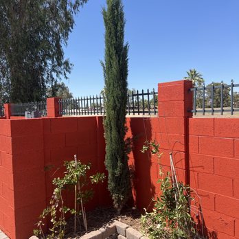 AZ Precision Paintworks LLC - Back cinder block fence to Hearty Orange... love the pop from the green plants!! - Painters Near Me