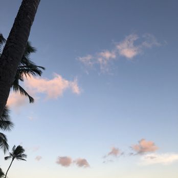 Orchids - Breakfast & Brunch Near Me - Honolulu, Hawaii