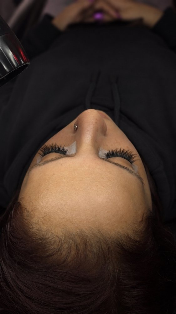The Lash Standard Logo