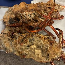 GIANT Lobster Thermidor!  Delicious!