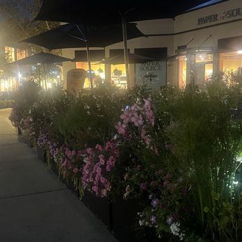 Rosa Mexicano - Outside - Mexican Near Me - Ardmore, Pennsylvania Rosa Mexicano - Outside - Mexican Near Me - Ardmore, Pennsylvania