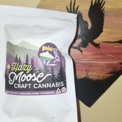 Hazy Moose Medical Cannabis Dispensary - Normally, I get super silver haze, but pie dance has some sweet bud. I tried their Garlic Z; Awesome herb