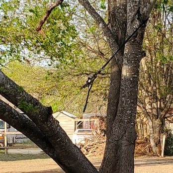Eagle Tree & Lawn Care - The come along James placed on our tree to relieve pressure and prevent further damage to our home. - Tree Services Near Me - San Marcos, Texas Eagle Tree & Lawn Care - The come along James placed on our tree to relieve pressure and prevent further damage to our home. - Tree Services Near Me - San Marcos, Texas