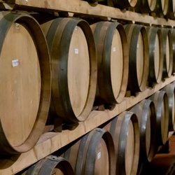 My Tuscan Wine And Tours