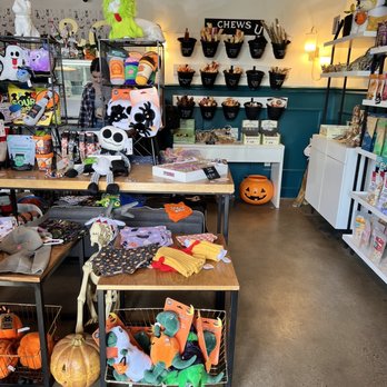 Leash and Collar - Pet Stores Near Me - Sacramento, California Leash and Collar - Pet Stores Near Me - Sacramento, California