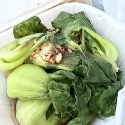 Opties and Dinghies - bok choy