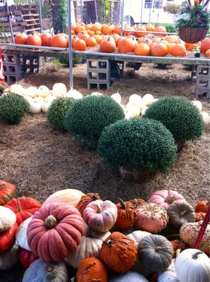 Davis Produce by null