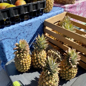 Ko Mahi Ai Makeke - 09.10.22 pineapple - Farmers Market Near Me - Kihei, Hawaii