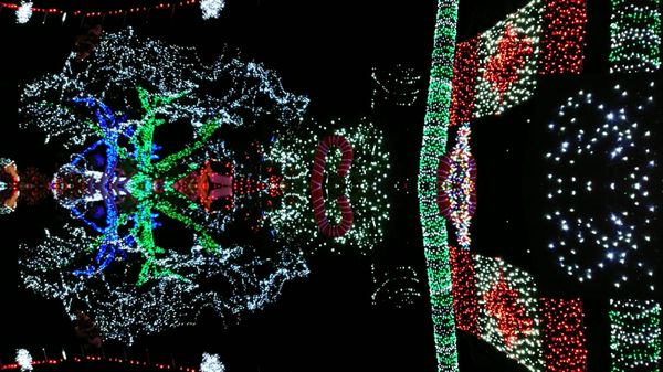 Stanley Park Railway by null