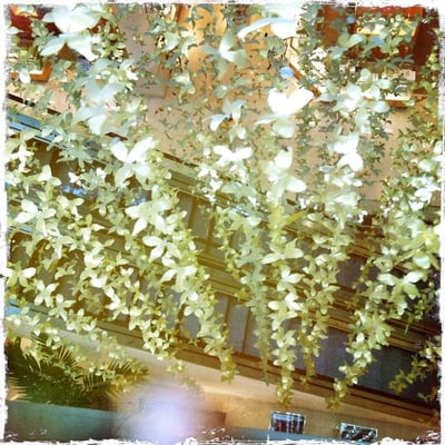 Neiman Marcus by null