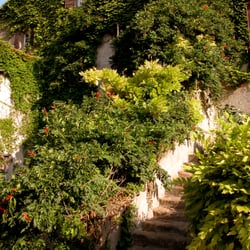 Château Hôtel de Floure - One of the entrances.