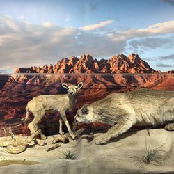 White Sands Missile Range Museum
