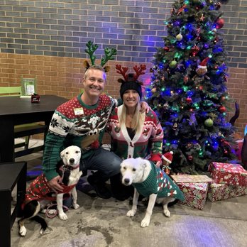 Paws and Pints - Dog Parks Near Me - Des Moines, Iowa