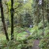Paradise Point State Park gift card