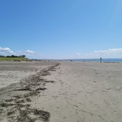 Damon Point State Park - Barely a human, midday in summer