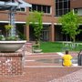 Photo of Binns Park