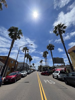 Ambrogio15 Pacific Beach by null