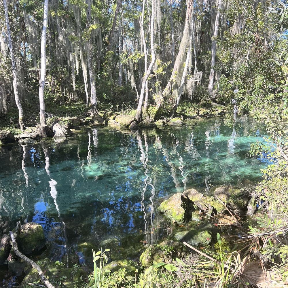 Three Sisters Springs - Tours Near Me - Crystal River, Florida Three Sisters Springs - Tours Near Me - Crystal River, Florida
