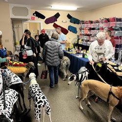 Maine Greyhound Placement Service - Halloween party 2025