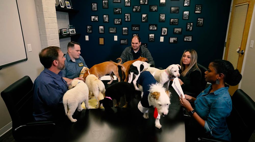 Slide of Michael & Son Services