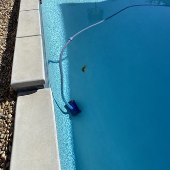 Signature Pools & Spa - Rebar bleed from poor job by signature - Pool & Hot Tub Service Near Me - Clovis, California