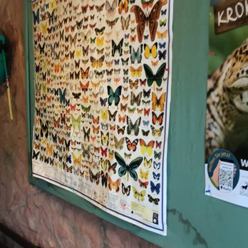 Tiergarten - Zoos Near Me - Falkenstein, SN