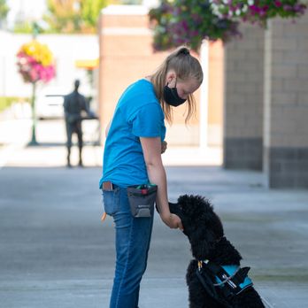 Guynup’s K9 Services - Pet Services Near Me Guynup’s K9 Services - Pet Services Near Me