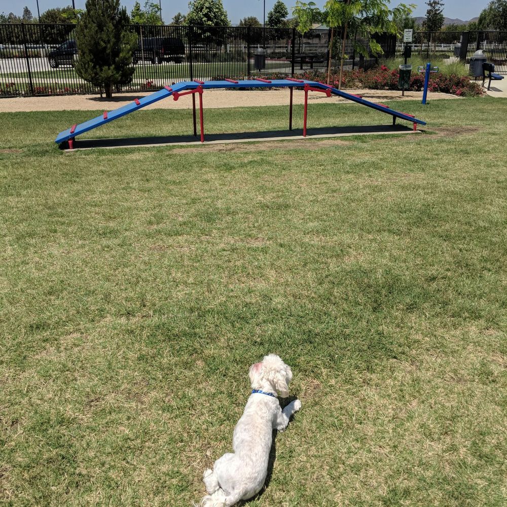 Heroes Dog Park - Sunny Friday! - Dog Parks Near Me - Murrieta, California Heroes Dog Park - Sunny Friday! - Dog Parks Near Me - Murrieta, California