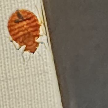 Soboba Casino Resort - Bed bug - Casinos Near Me - San Jacinto, California Soboba Casino Resort - Bed bug - Casinos Near Me - San Jacinto, California