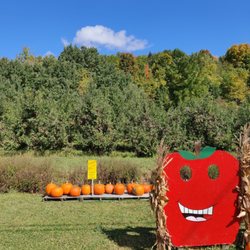 Deer Run Farms - Fun photo op apple