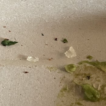First Watch - Avocado with a side of plastic shards. - Breakfast & Brunch Near Me - Miami, Florida First Watch - Avocado with a side of plastic shards. - Breakfast & Brunch Near Me - Miami, Florida