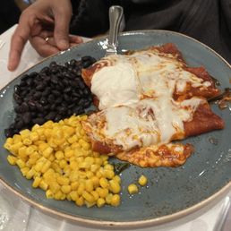 Veggie enchilada with red sauce
