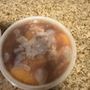 Southern Cravingz