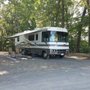 Photo of Holly Bluff Family Campground