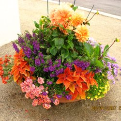 Zscape Landscape Designs