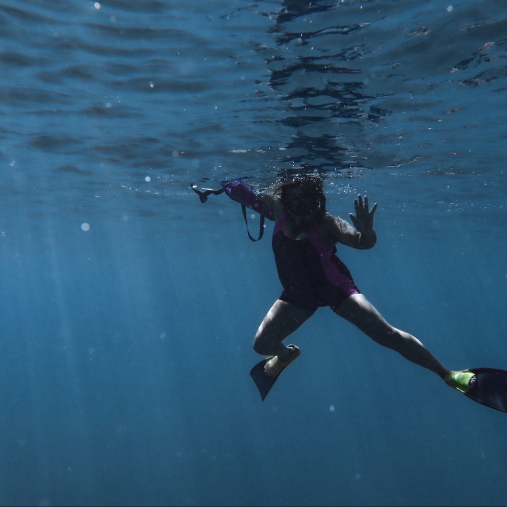 Hawaii Apex Charters - Swimming with the turtles!! So much fun - Snorkeling Near Me - Honolulu, Hawaii Hawaii Apex Charters - Swimming with the turtles!! So much fun - Snorkeling Near Me - Honolulu, Hawaii