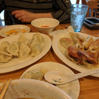 Golden Dumpling House - Pan fried pork and veggie Boiled pork, leek, and veggie - Chinese Near Me - Houston, Texas