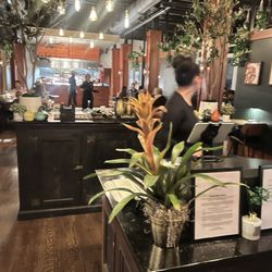 Tonica - Hostess reception area