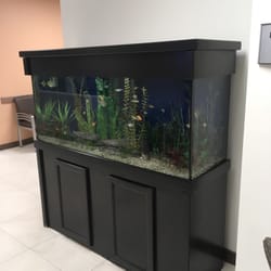 Gastro Health - CC1 - Relaxing fish tank