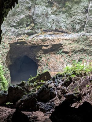 Parque Nacional de las Cavernas del Río Camuy by null