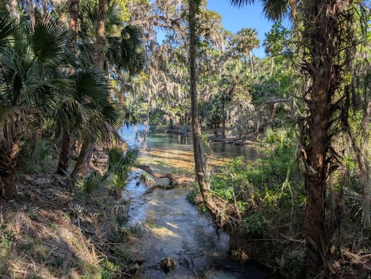 Gemini Springs Park by null