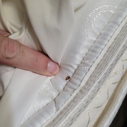 Comfort Suites - Beware - bed bugs. Stay at your own risk. Google search how to check for bed bugs.
