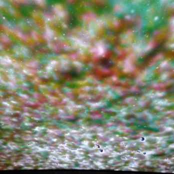Tops Car Wash - Love the tricolour foam. - Car Wash Near Me - Ottawa, Ontario Tops Car Wash - Love the tricolour foam. - Car Wash Near Me - Ottawa, Ontario