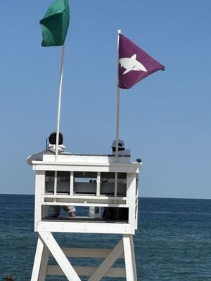 Coast Guard Beach by null