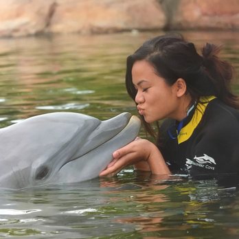 Discovery Cove - Amusement Parks Near Me - Orlando, Florida