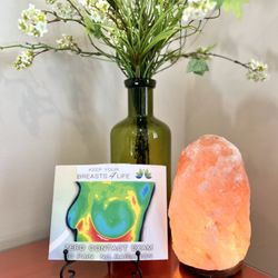Breasts4LIFE - Thermal Imaging & Holistic Breast Wellness