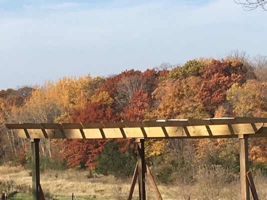 Parley Lake Winery by null