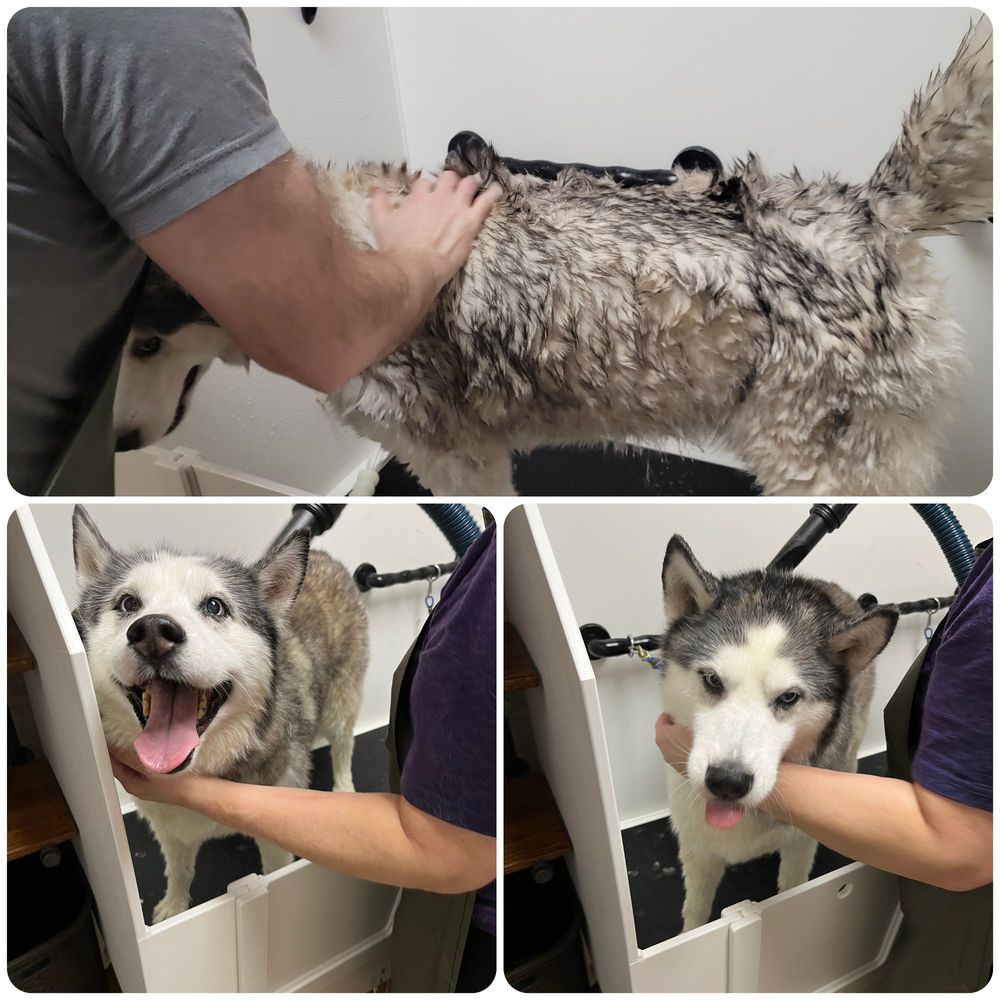 EARTHWISE PET SUPPLY & GROOMING COTTAGE GROVE Updated August 2024 6071 Gemini Dr, Madison