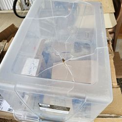 Ryder Relocations - Another crushed broken plastic tote.